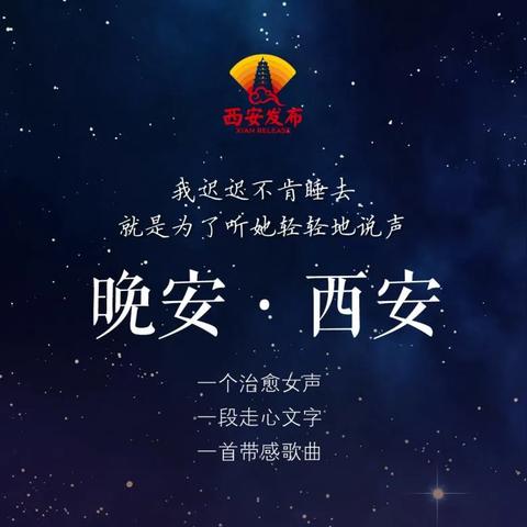 晚安森林2024年预计几月上线?揭秘新一代益智休闲游戏的背后制作故事