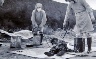 (731部队的生化武器是哪些)731部队：涉及生化武器研究的黑暗历史及其影响