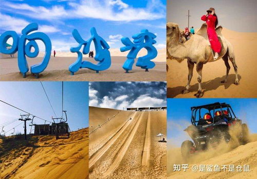 狮驼岭2高清免费播放:感受超级精彩的冒险旅程,无需付费就能享受震撼的大屏视觉盛宴 狮驼岭2高清免费播放:感受超级精彩的冒险旅程,无需付费就能享受震撼的大屏视觉盛宴