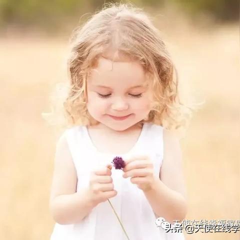 中等饮食游戏：探索如何通过有趣的方式实现健康饮食平衡与快乐生活