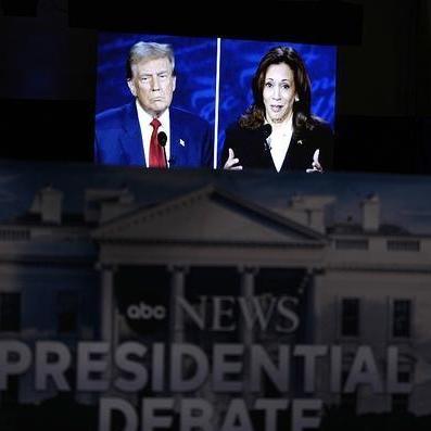 深度解析网络流行语'烤我吧'的起源与历史：如何从网络迷因崭新演变到全民热议的社交话题