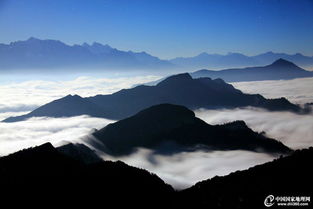 (雁丘陵下载)探索雁丘陵游戏的魅力：一场关于策略与团队合作的冒险之旅