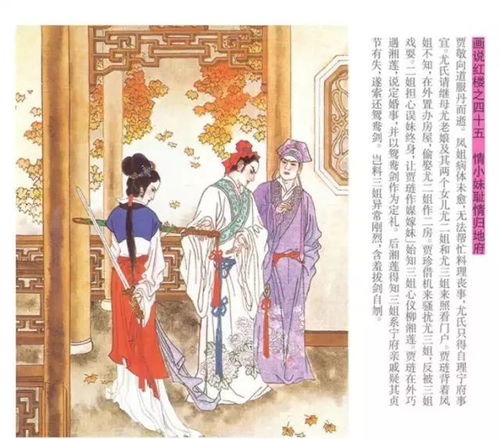 王侯将相，有种乎？——深度解析《红楼梦》中宝玉对传统士族观念的挑战与反叛