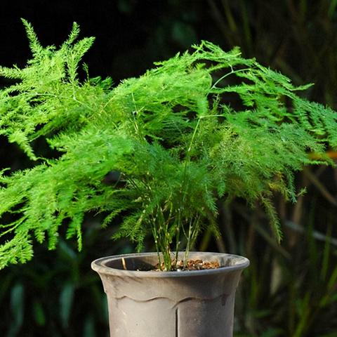 深入解析亦春秋配置要求的最佳实践与策略，助力提升项目整体效果