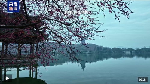 探讨'锦绣山河'的含义及其在当代社会发展背景下对国家自然环境保护的重要启示