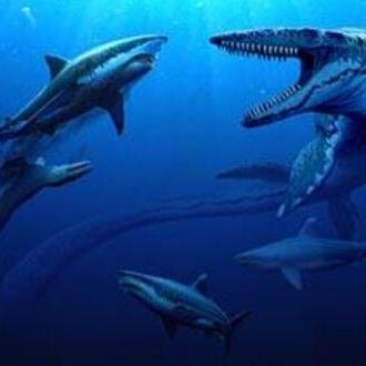 玩恐龙大战:探索史前生物的奇幻世界,尽情体验刺激的战斗与冒险 玩恐龙大战:探索史前生物的奇幻世界,尽情体验刺激的战斗与冒险